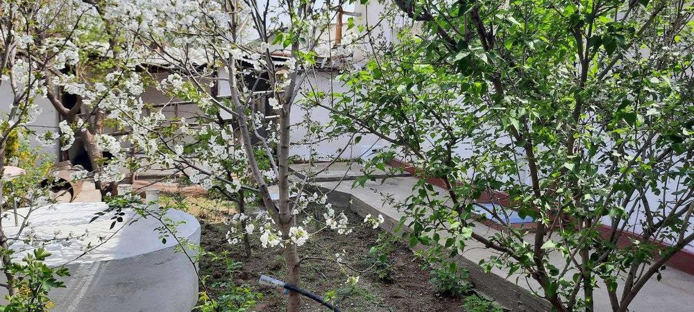 Продаётся дом,в г. Карши