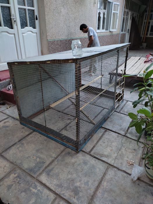 Katak sotiladi Yangi  ishlatilmagan