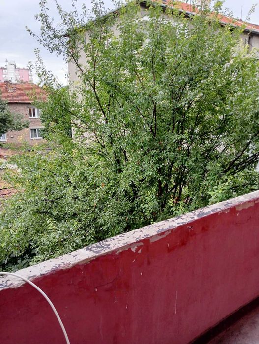 Продава се Тристаен апартамент в Търговище, Център - 100 кв.м за 878 €/кв.м - Снимка #10