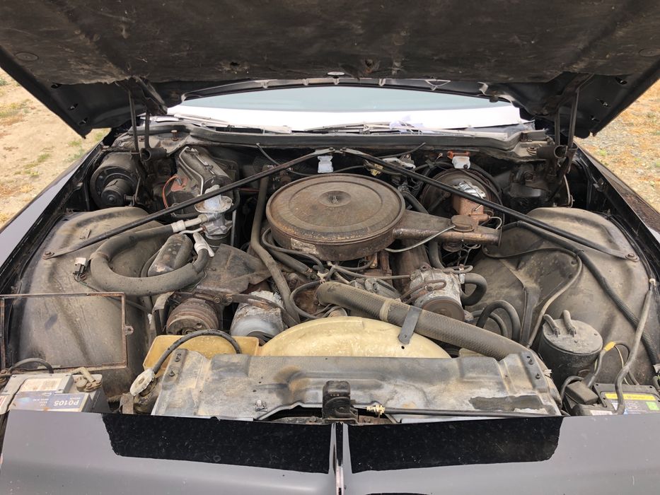 BUICK Electra 1974 — imagine 4