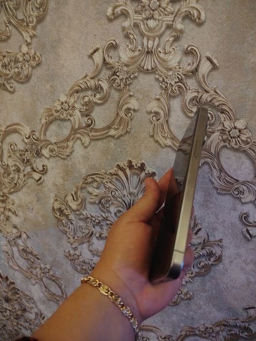 Ayfon 15 pro max 256 gb