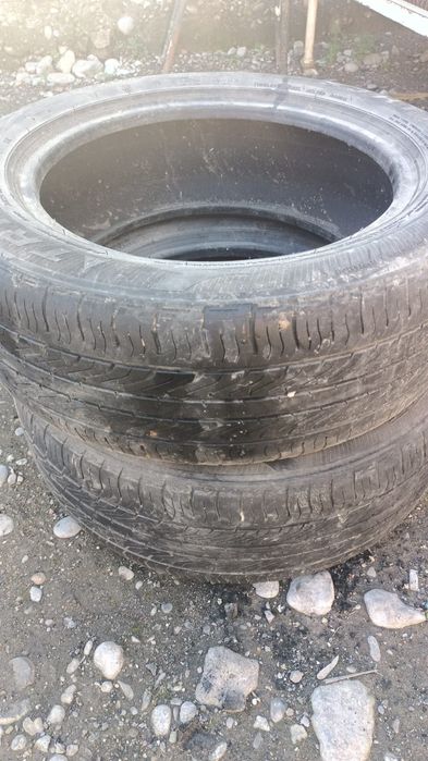 Triangle 2 штук 205/55 16