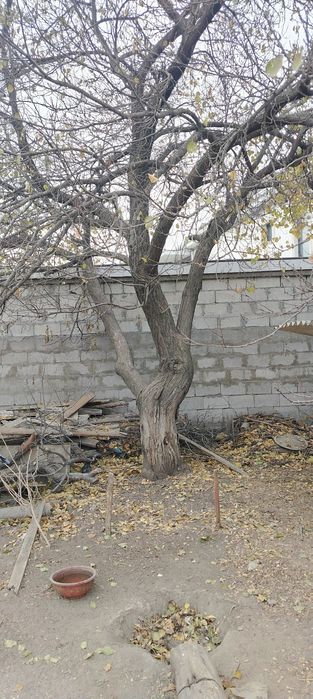 Продаётся посуда советских времён цена договорная