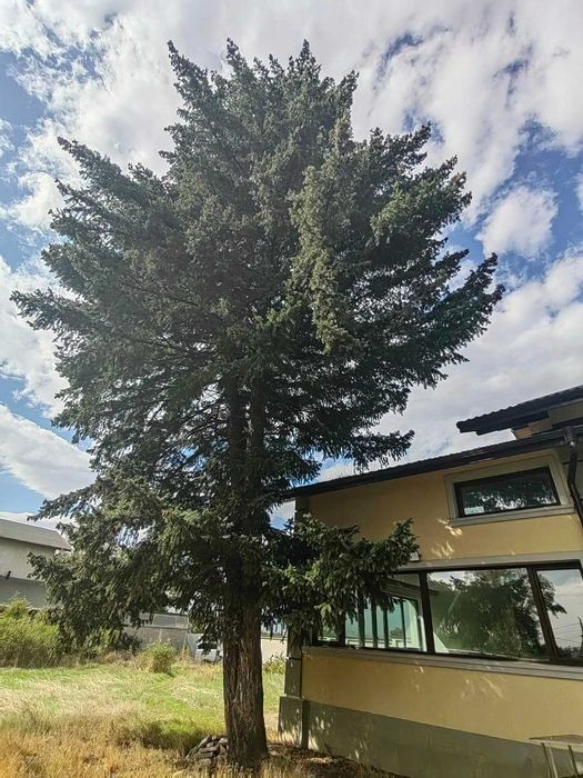 Продава се Къща в София, Център - 242 кв.м за 1385 €/кв.м - Снимка #2