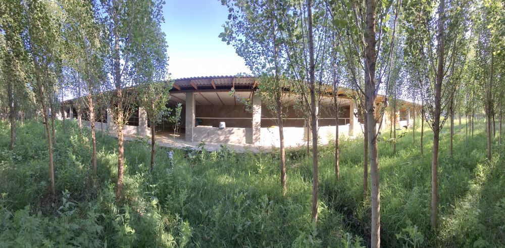 Ферма у трассы, 50 соток