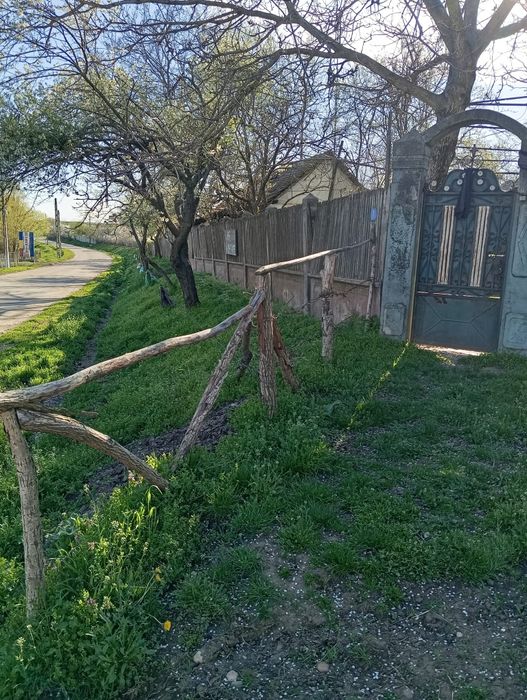 Casa Verbita+Livada de Pruni