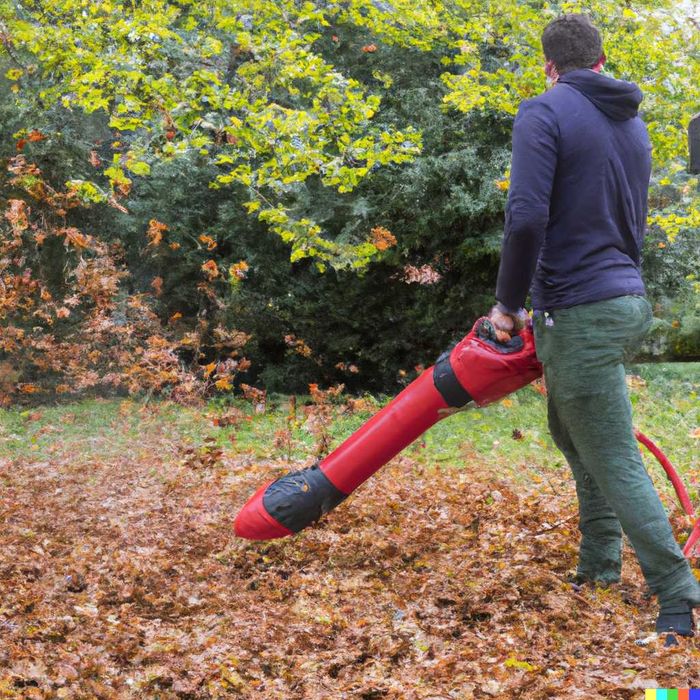 Tuns iarba, gazon, gard viu si pomi