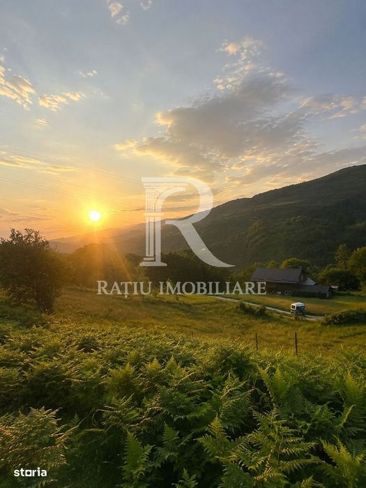 Teren 10.900mp | Panoramă în Apuseni | Remeți -Ideal pentru Investitii