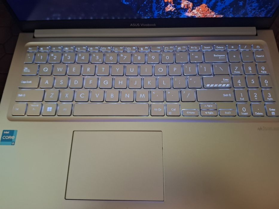 Asus Vivobook Go 15