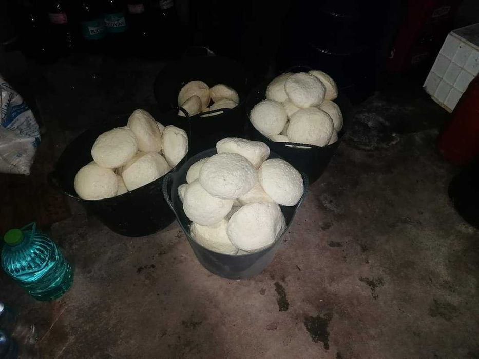 Brânză de vacă afumata/proaspătă/veche.