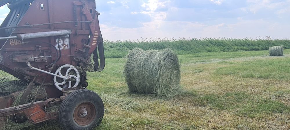 Руллон шоп малга