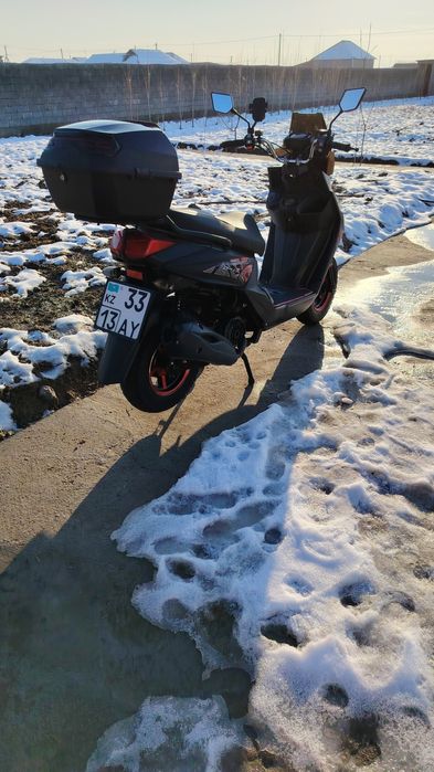 Самураи мапет 2024