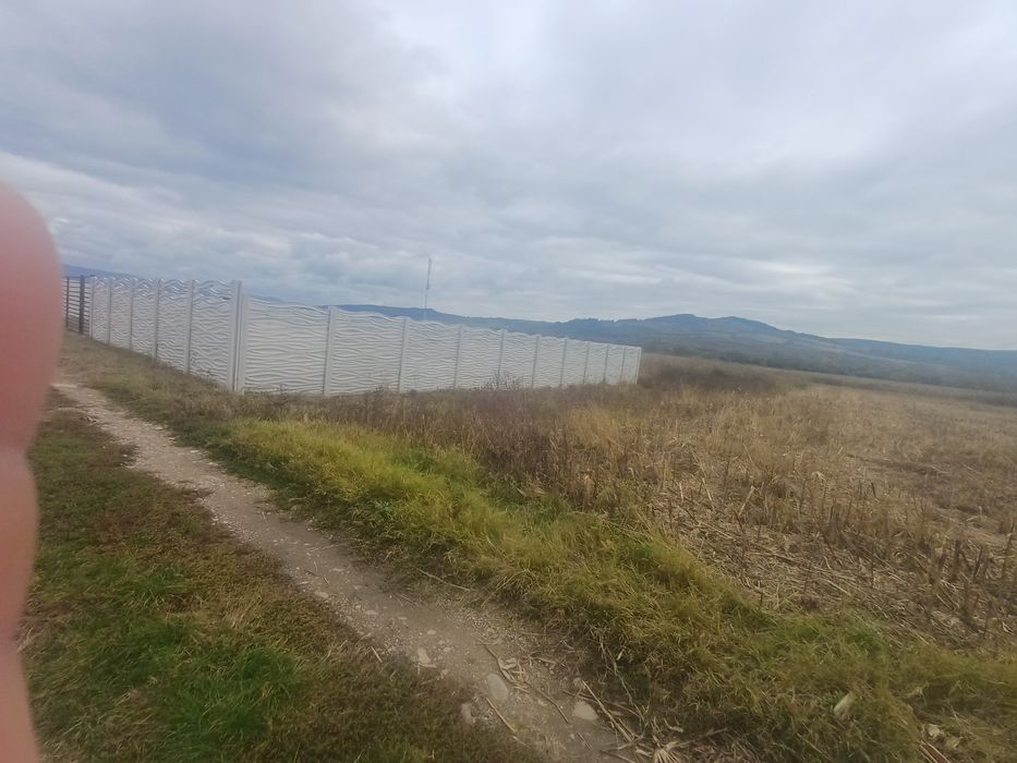 Vând teren intravilan în Băcia