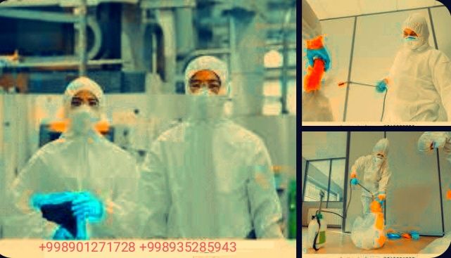 Дезинфекция - дезинсекция - дератизация