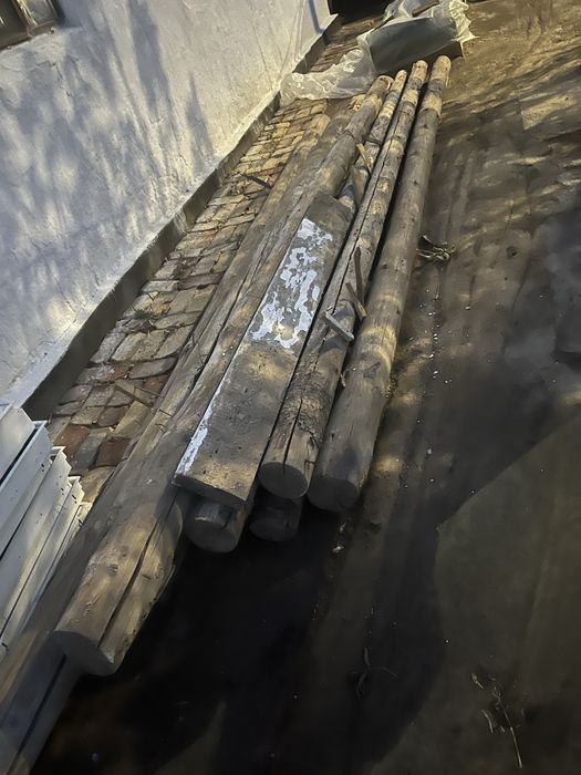 Тастама круглаяя