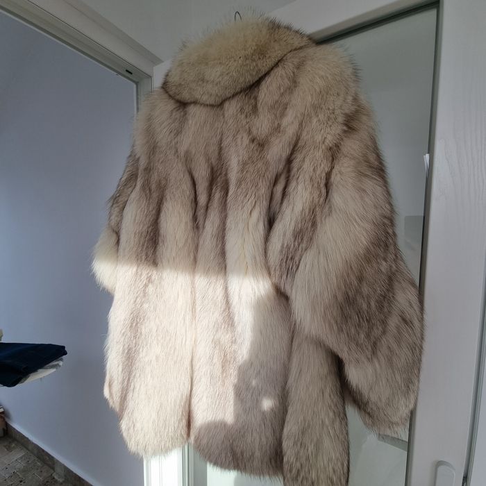 Vând blana vulpe argintie, stare foarte buna
