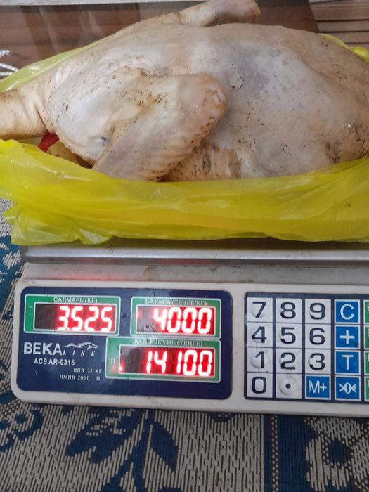 Продаются мясо утки,индоутки,цесарки