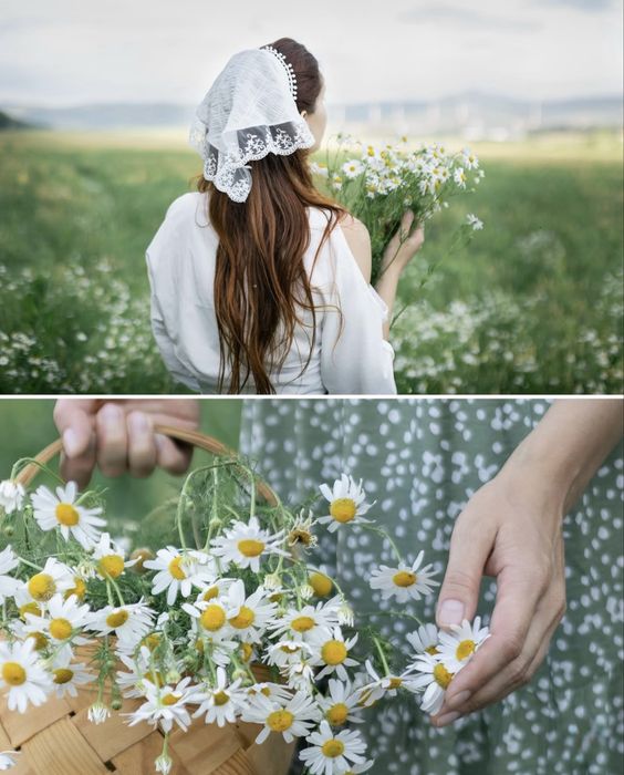 Объектив Canon EF 50mm f/1.4 USM