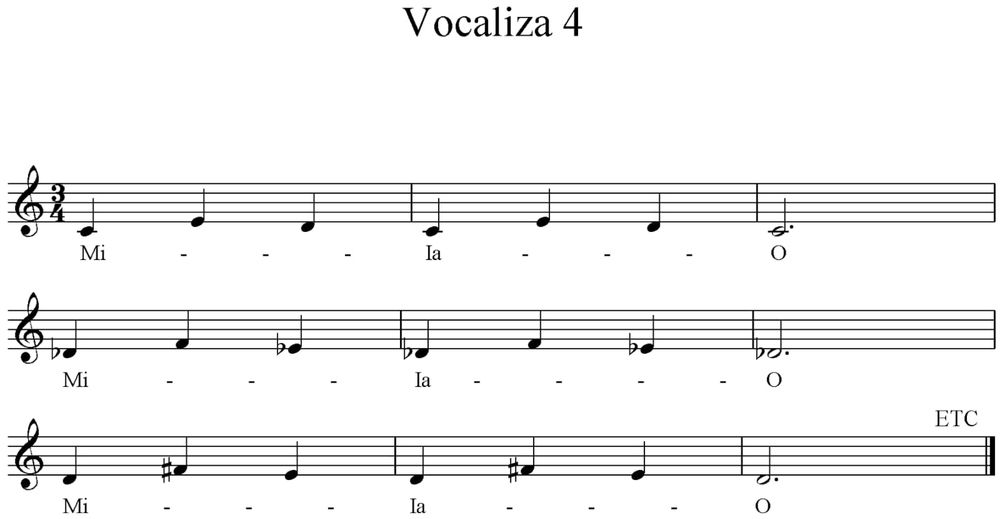 Lectii de canto muzica usoara, populara, clasic , pian, teorie muzicala. Meditatii/cursuri copii si adulti
