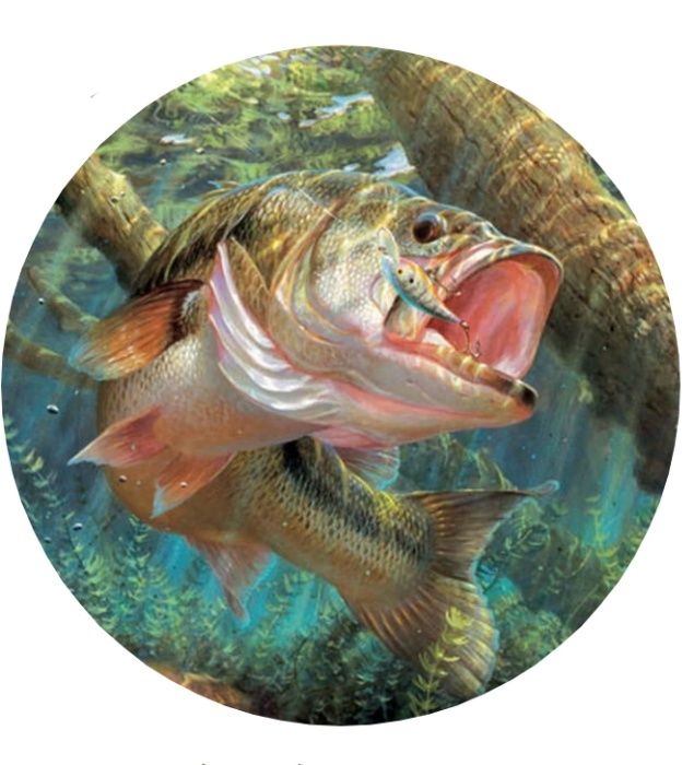 Калъф За Резервна Гума На Джип С Риба Риби