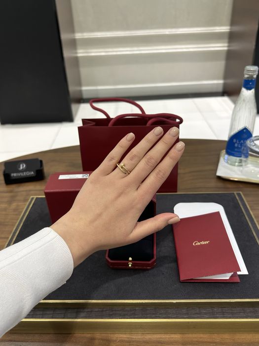 NEW Cartier Juste un Clou Small Model B422590