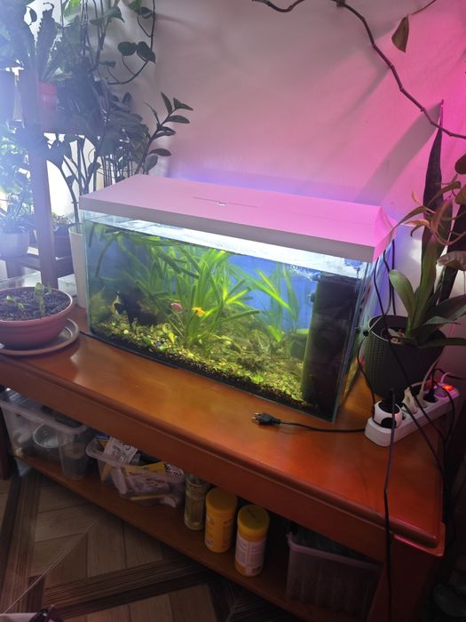 Аквариум 100 литров