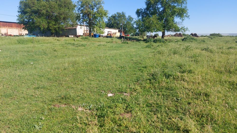 ИМОТ В СЕЛО БЪЗЪН  до бензиностанцията квартал 446  цена 25 000 евро