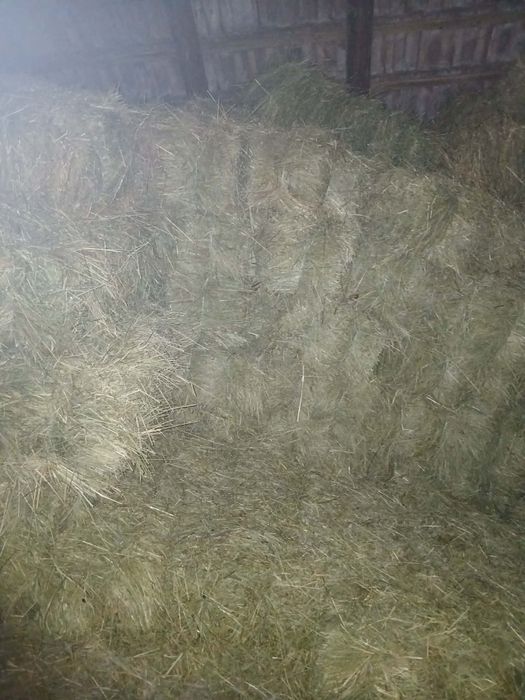 Baloți de fân și lucernă de bună calitate, de vânzare