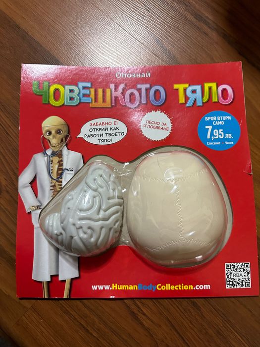 Човешкото тяло първите 5 броя