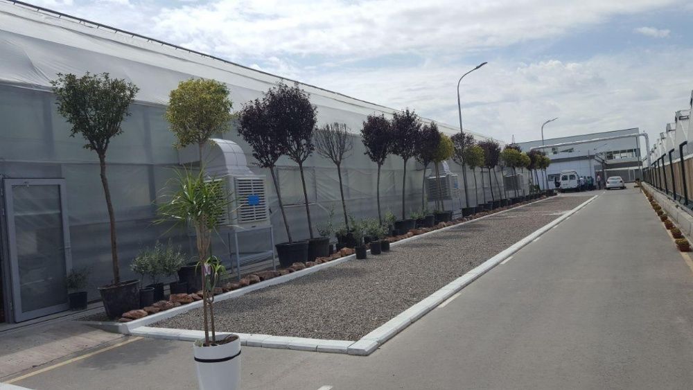 Био охладители Air Cooler от официального предстовителя