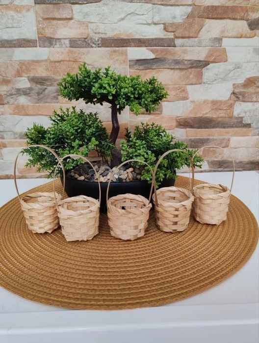 Cosulete pentru un trandafir