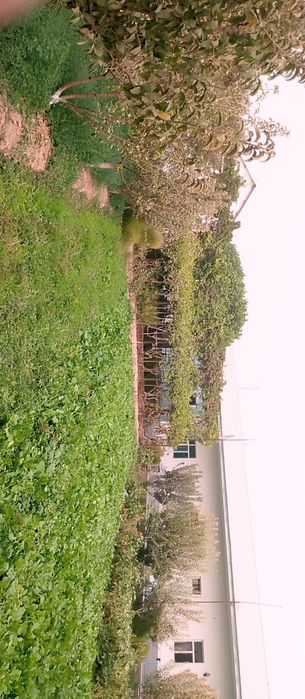 Hovli uy sotiladi 18 sotix