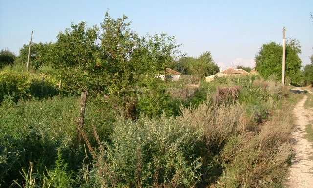 Стара къща в Златия