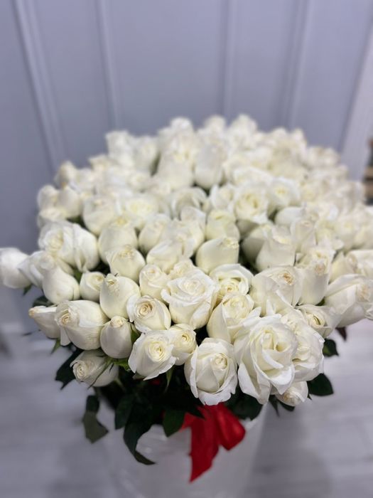 Цветы  голадские розы