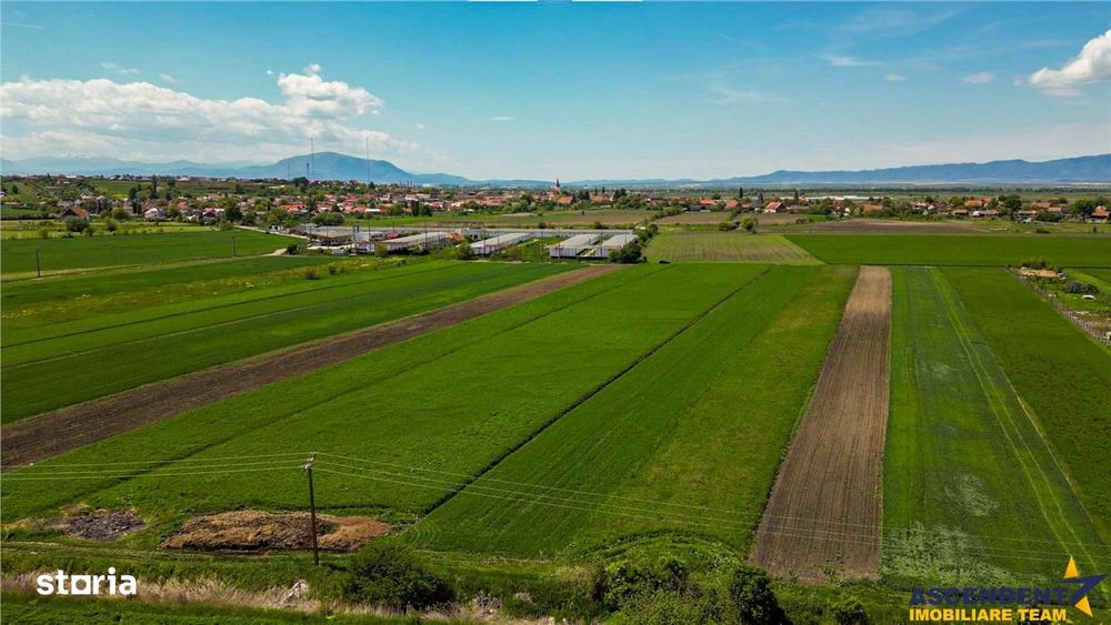 FILM! Teren extravilan 5.000 mp in zona linistita cu acces facil, Bod,