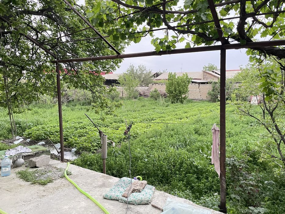 Uy sotiladi Plem Savxoz 16 sotok