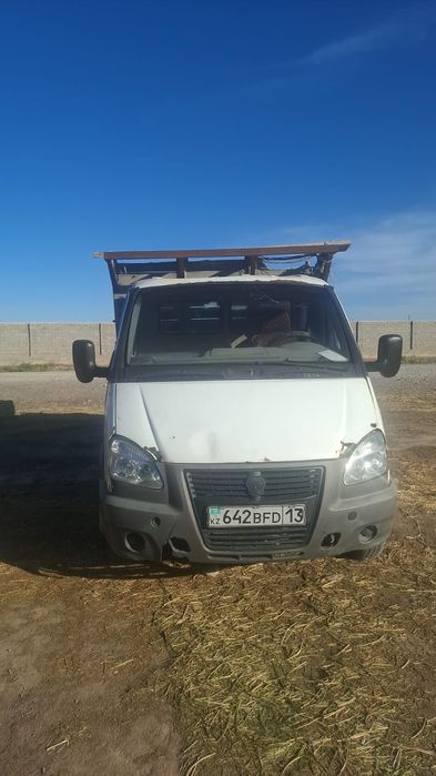 Газель жүріп тұрған