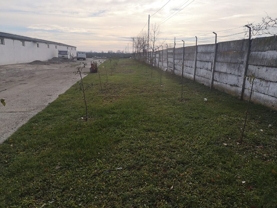 Vând sau închiriez hala 450mp sau 850mp curte betonata 3500mp 73000€