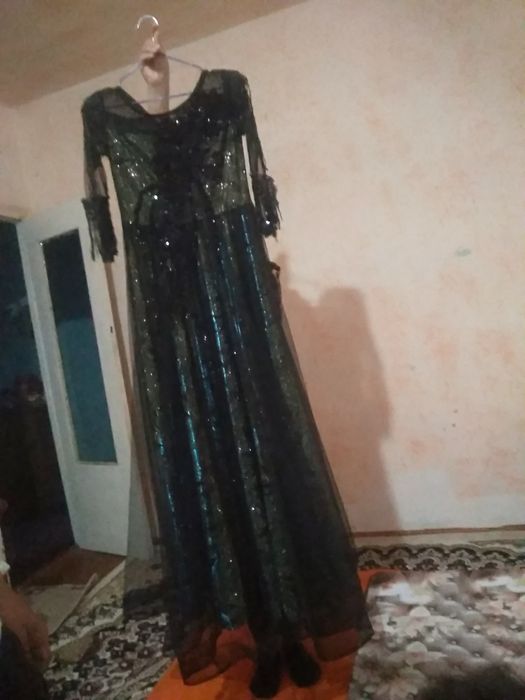 Vechirne ayollar koʻylagi