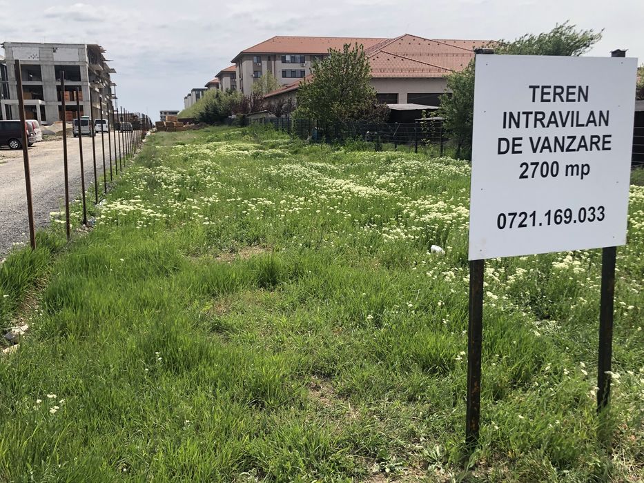 Teren Dobroești - 2700 mp - Asfalt , STB , Toate Utilitățile - Str. Caisului
