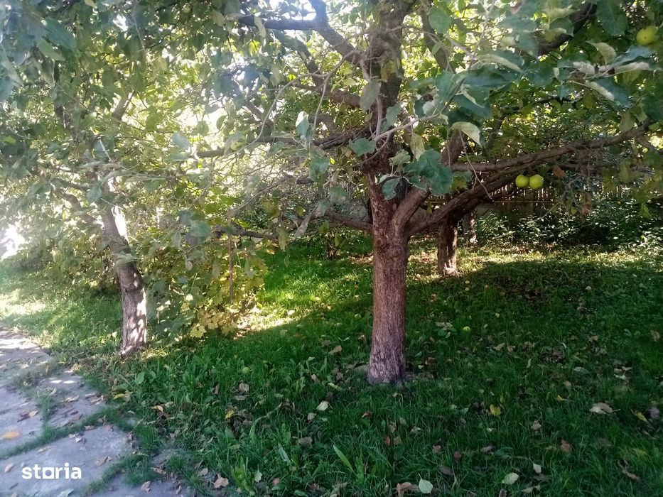 Casa in Pucioasa - Ultracentral