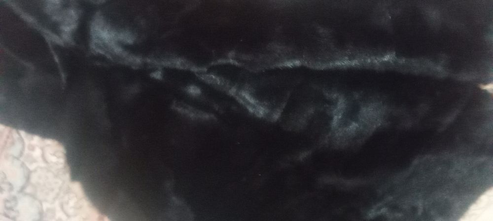 Шуба сатылады бағасы 100000.