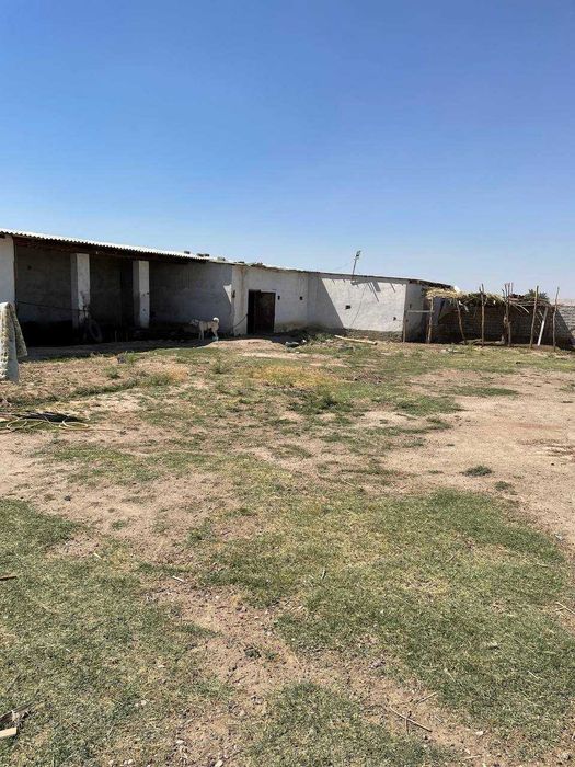 Тезда нотурар жой сотилади