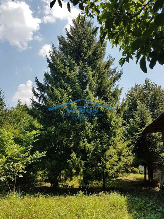 Продава се Къща в с. Хайредин, Област Враца - 180 кв.м за 99 €/кв.м - Снимка #3