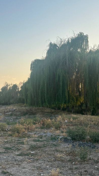 Земля Продается 4 Гектар