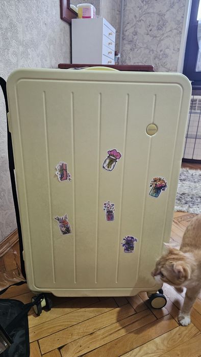 Чемодан с чехлом