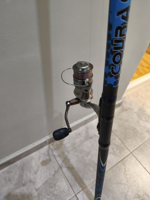 Болонезе и макара