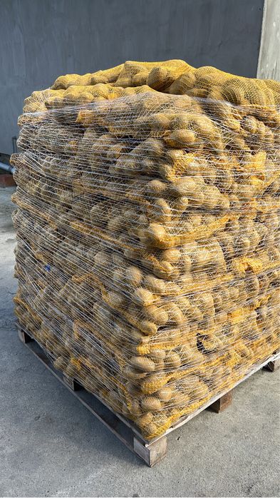 Cartofi/Polonia/Alb/Rosu/60+/SAC 10,15,20 kg/Orice Cantitate La Comandă/Calitate Extra Lux//SUNAȚI:0772248725//