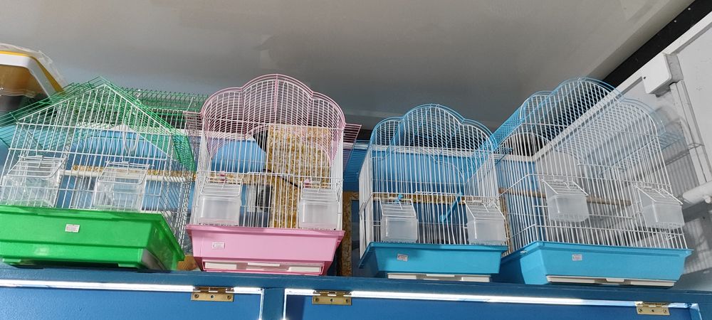 Сетка для папугаев