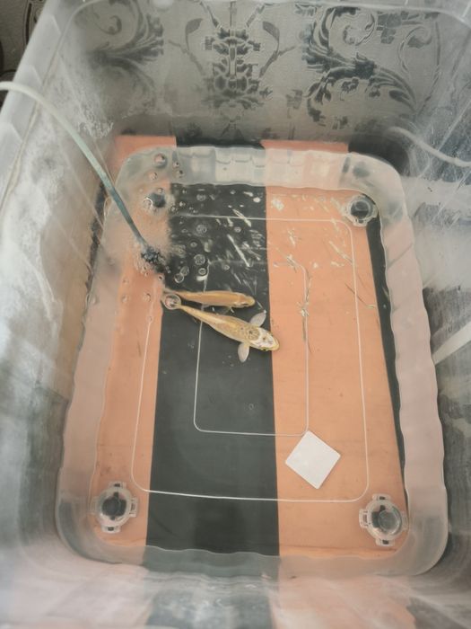 Продам аквариумы